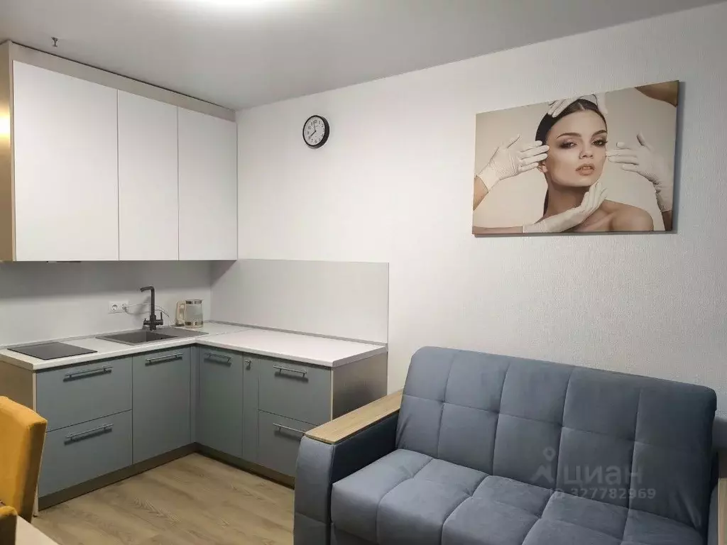 Студия Москва Пятницкое ш., 56Б (24.0 м) - Фото 2