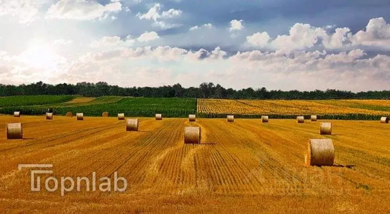 Производственное помещение в Алтайский край, Солтонский район, с. ... - Фото 1