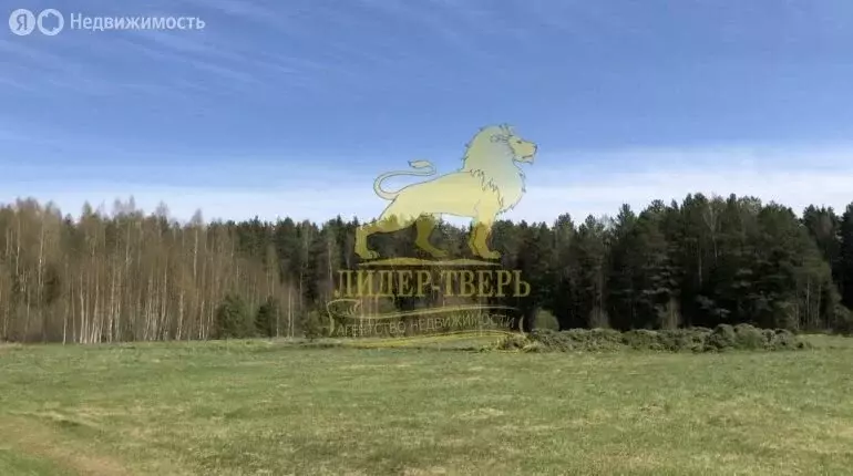 Участок в Тверская область, Калининский муниципальный округ, деревня ... - Фото 0