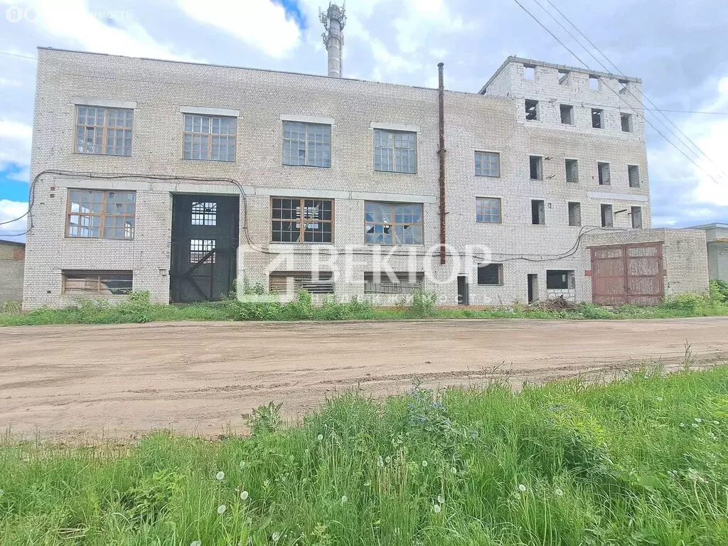 Помещение свободного назначения (1246.9 м) - Фото 1