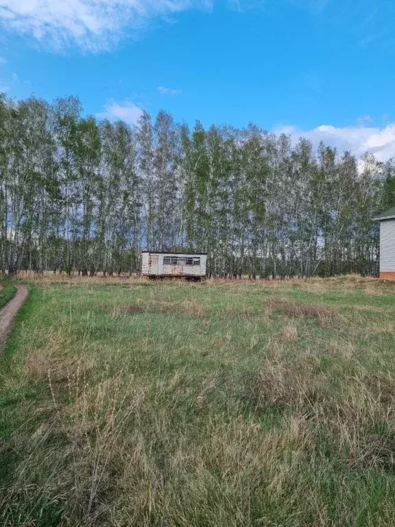 Участок в Омская область, Омский район, с. Усть-Заостровка, Иртышские ... - Фото 0