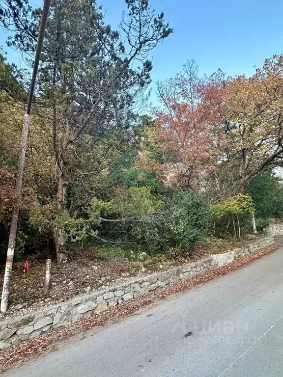 Участок в Крым, Ялта муниципальный округ, Восход пгт ул. Наташинская ... - Фото 2