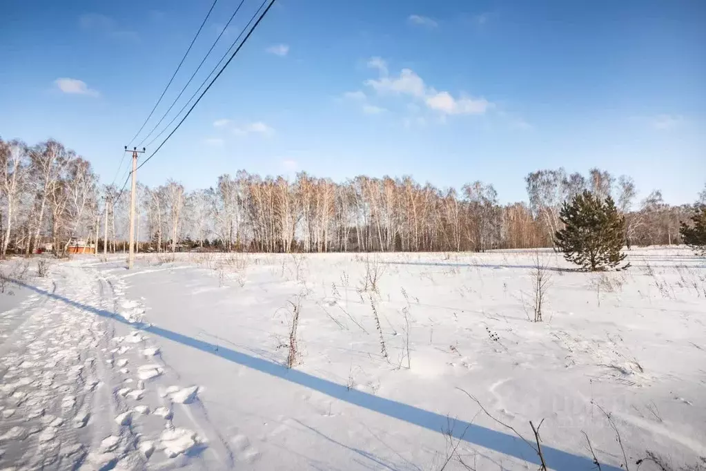 Участок в Новосибирская область, Бердск Раздольный мкр,  (14.7 сот.) - Фото 1