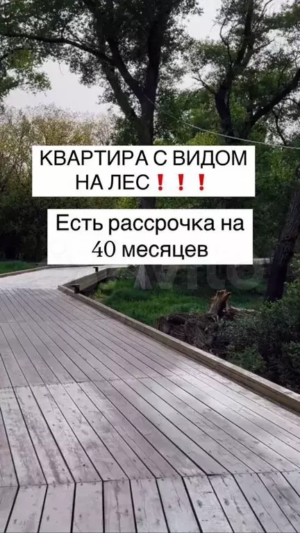 Квартира-студия, 33,4 м, 5/8 эт. - Фото 0
