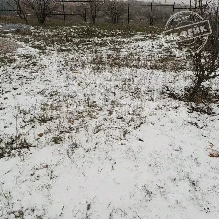 Участок в Ростовская область, Новочеркасск Надежда садовое ... - Фото 1