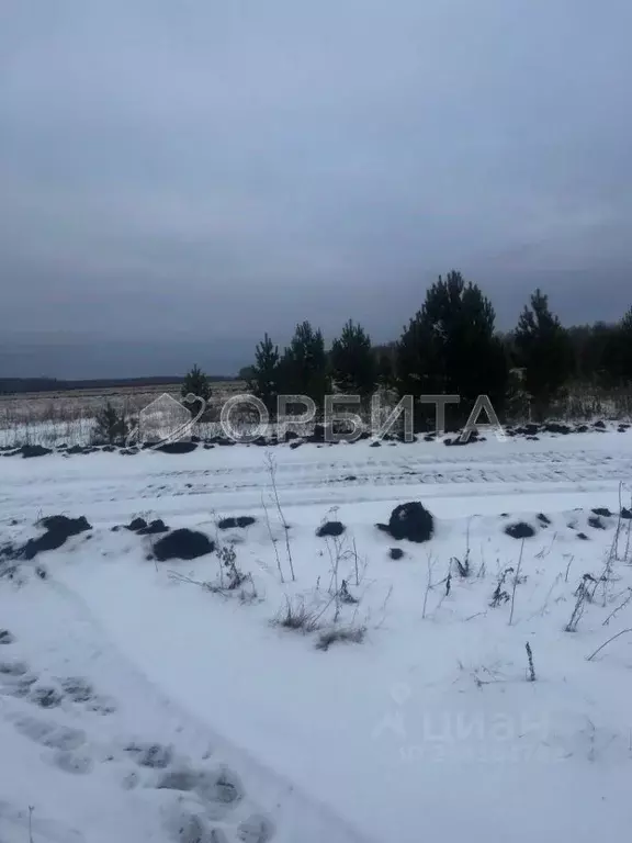 Участок в Тюменская область, Тюменский район, с. Горьковка  (8.15 ... - Фото 1