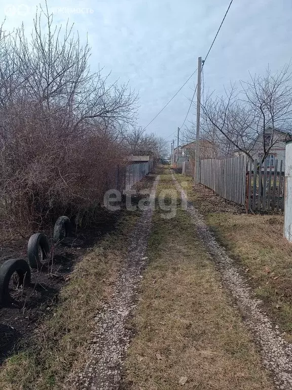 Участок в Белгородская область, Яковлевский муниципальный округ, СНТ ... - Фото 2