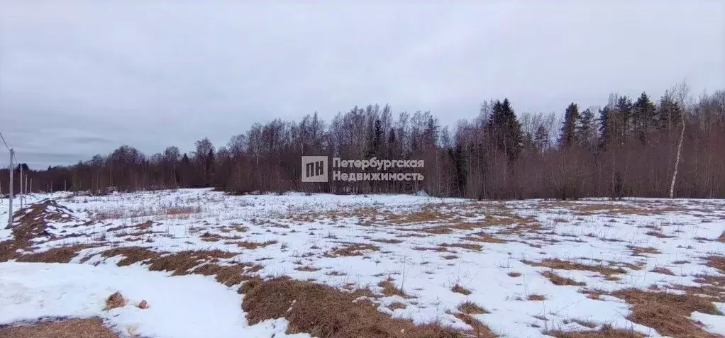 Участок в Ленинградская область, Всеволожский район, Лесколовское ... - Фото 0