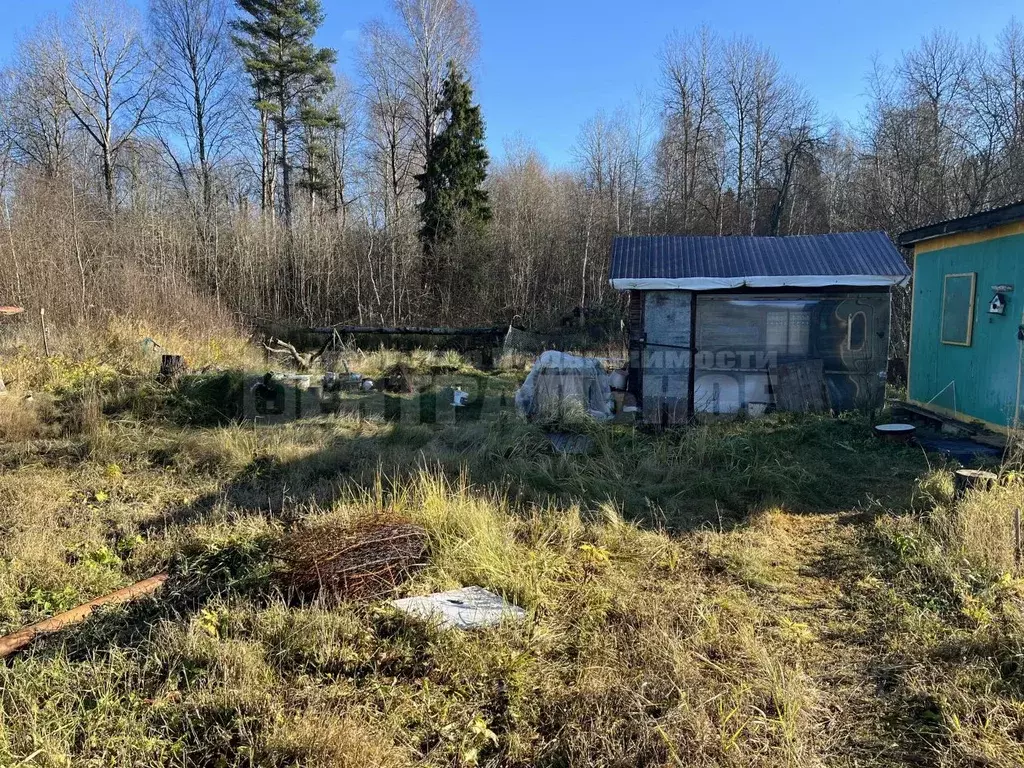 Участок в Смоленская область, Смоленский муниципальный округ, Садовые ... - Фото 2