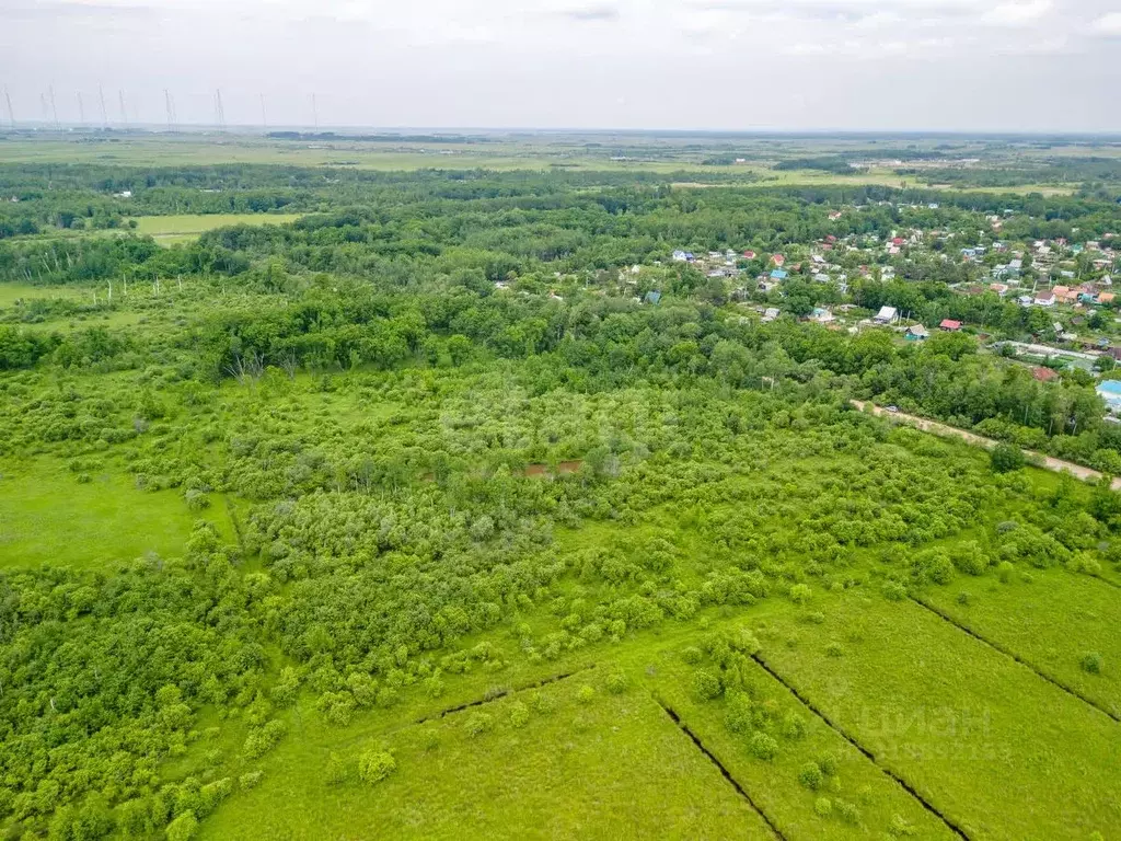 Участок в Еврейская автономная область, Смидовичский район, с. ... - Фото 2