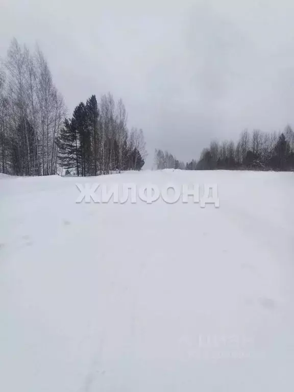 Участок в Томская область, Томск тракт Иркутский (1191.0 сот.) - Фото 1
