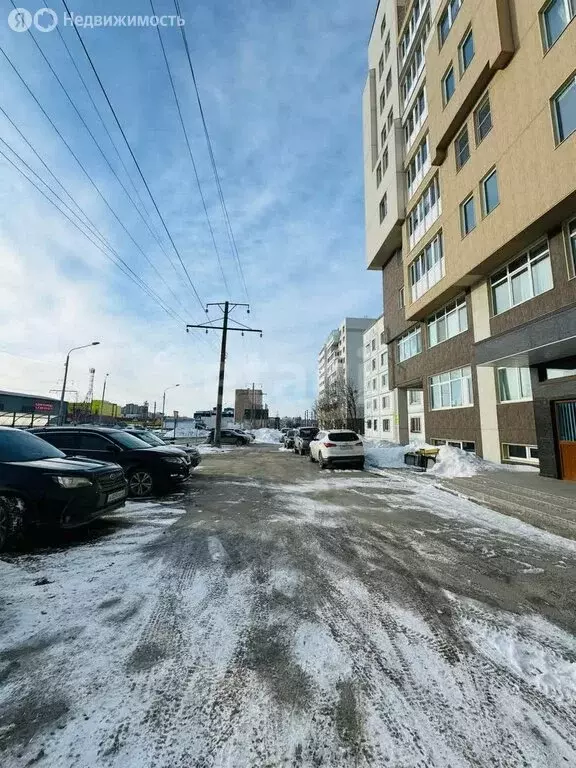 Офис (31.3 м) - Фото 2