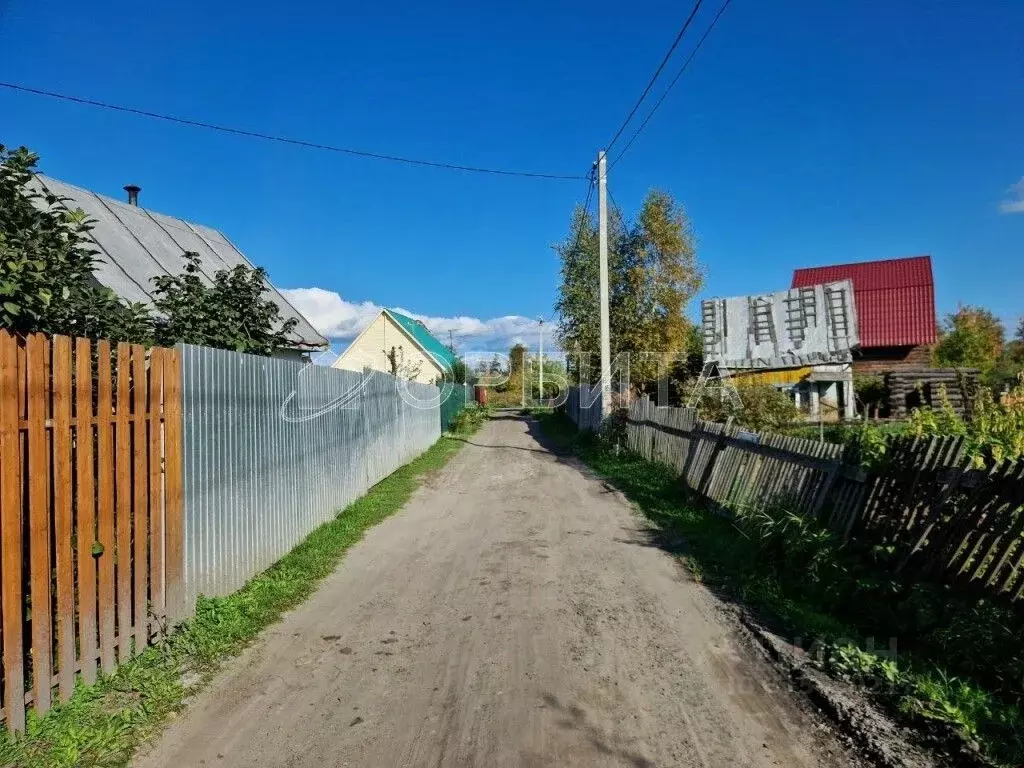 Участок в Тюменская область, Тюмень Электрон СНТ, ул. Осенняя (6.0 ... - Фото 0