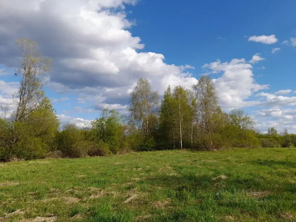 Участок в Ленинградская область, Выборгский район, Полянское с/пос, ... - Фото 0