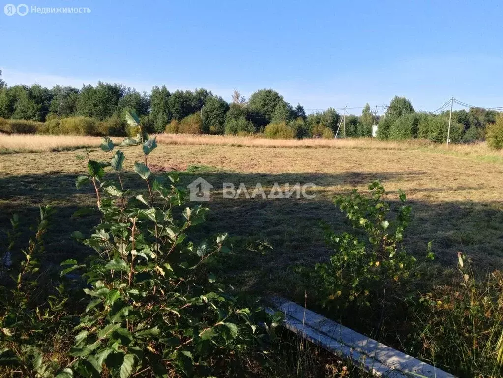 Участок в Громовское сельское поселение, посёлок Громово, 643 (16.08 ... - Фото 1