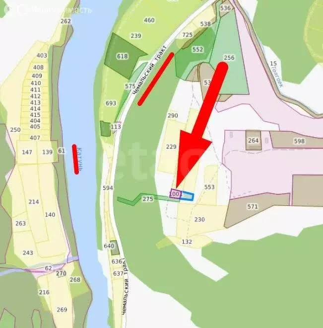 Участок в Чемал, Сосновая улица (23.9 м) - Фото 1