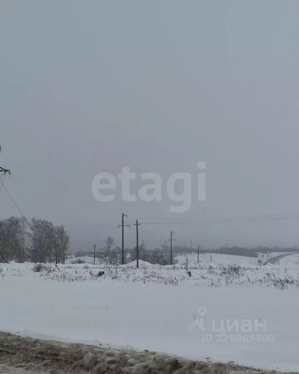 Участок в Саратовская область, Балашовский район, Хоперское ... - Фото 2