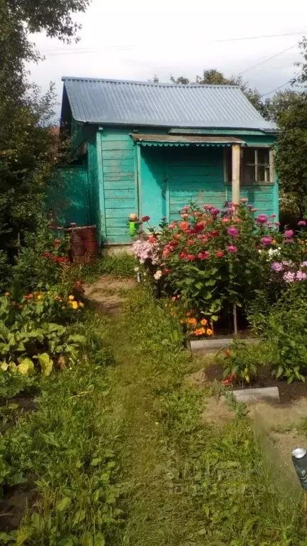 Дом в Владимирская область, Владимир Южный сад, 70 (25 м) - Фото 0