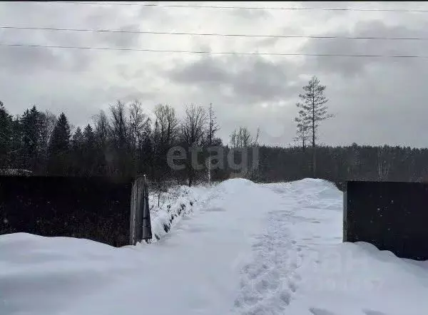 Участок в Московская область, Одинцовский городской округ, 30 лет ... - Фото 2