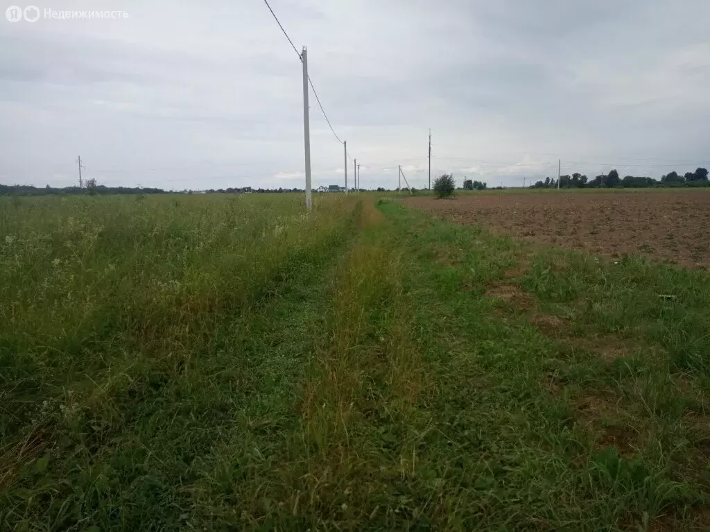 Участок в Псковский район, Логозовская волость (12 м) - Фото 0