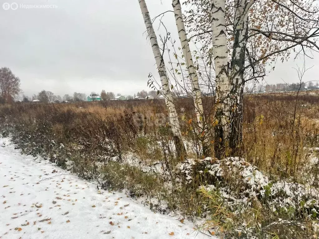 Участок в Дмитровский городской округ, деревня Кончинино (10 м) - Фото 0