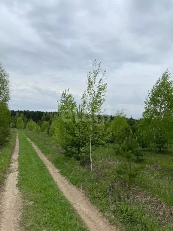 Участок в Кемеровская область, Кемеровский район, д. Жургавань ... - Фото 1