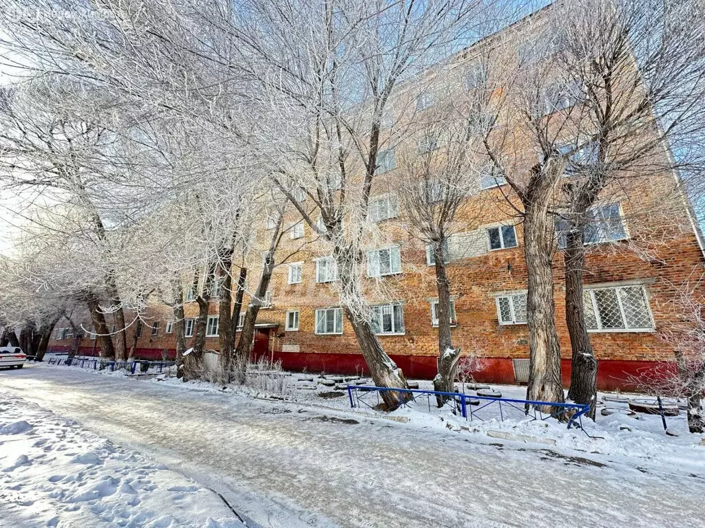 1-комнатная квартира: Омск, улица Химиков, 47Г (21.8 м) - Фото 1