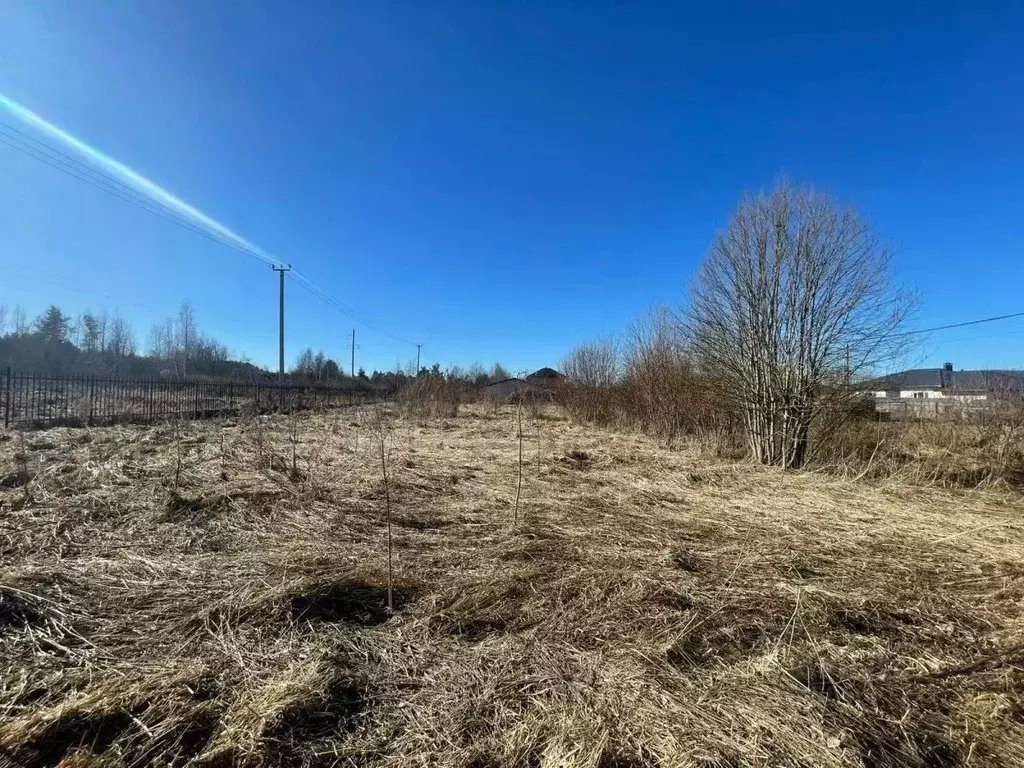 Участок в Ленинградская область, Ломоносовский район, Пениковское ... - Фото 2