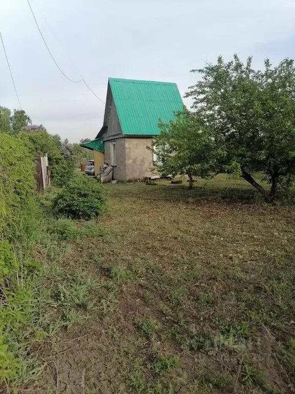 Дом в Омская область, Омский район, Дружинское с/пос, Яблонька-1 СНТ  ... - Фото 0