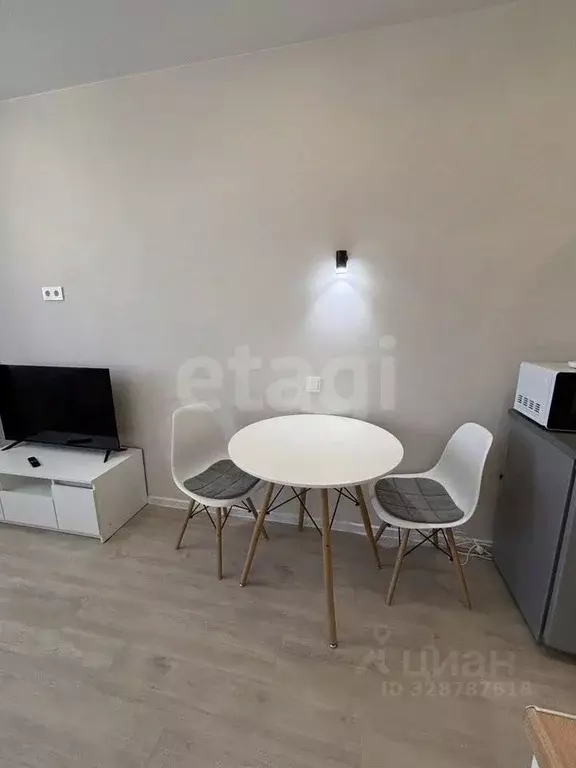 Студия Новосибирская область, Новосибирск ул. Кирова, 113/2 (21.0 м) - Фото 1