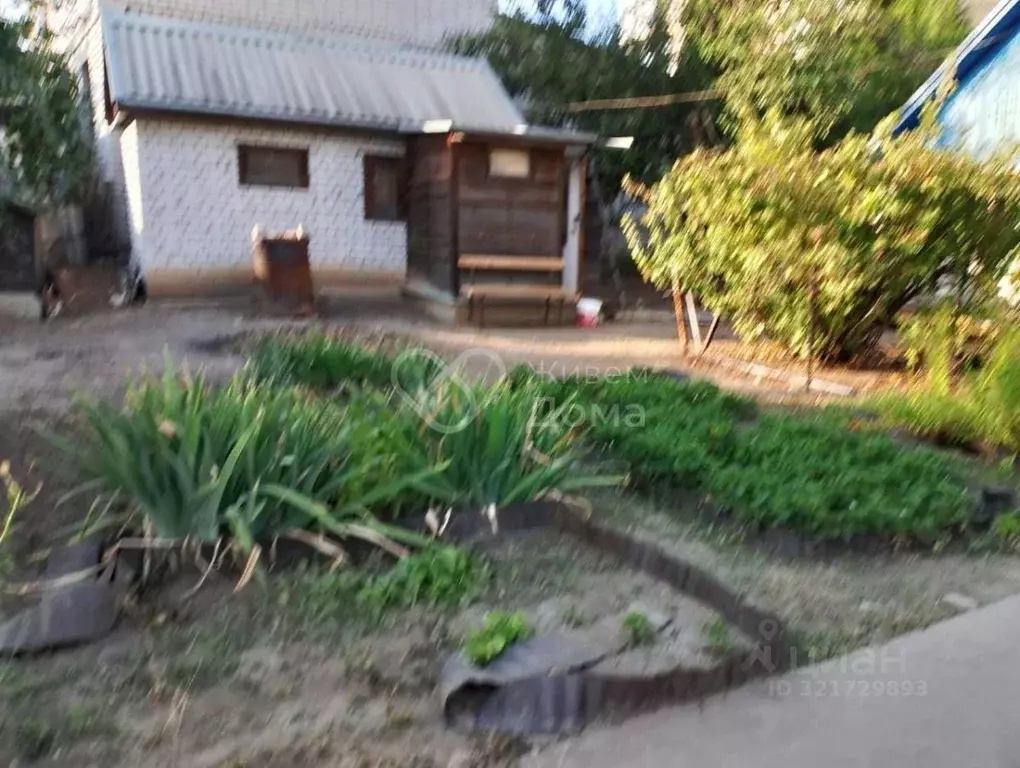 Дом в Волгоградская область, Волгоград Быковская ул. (40 м) - Фото 2