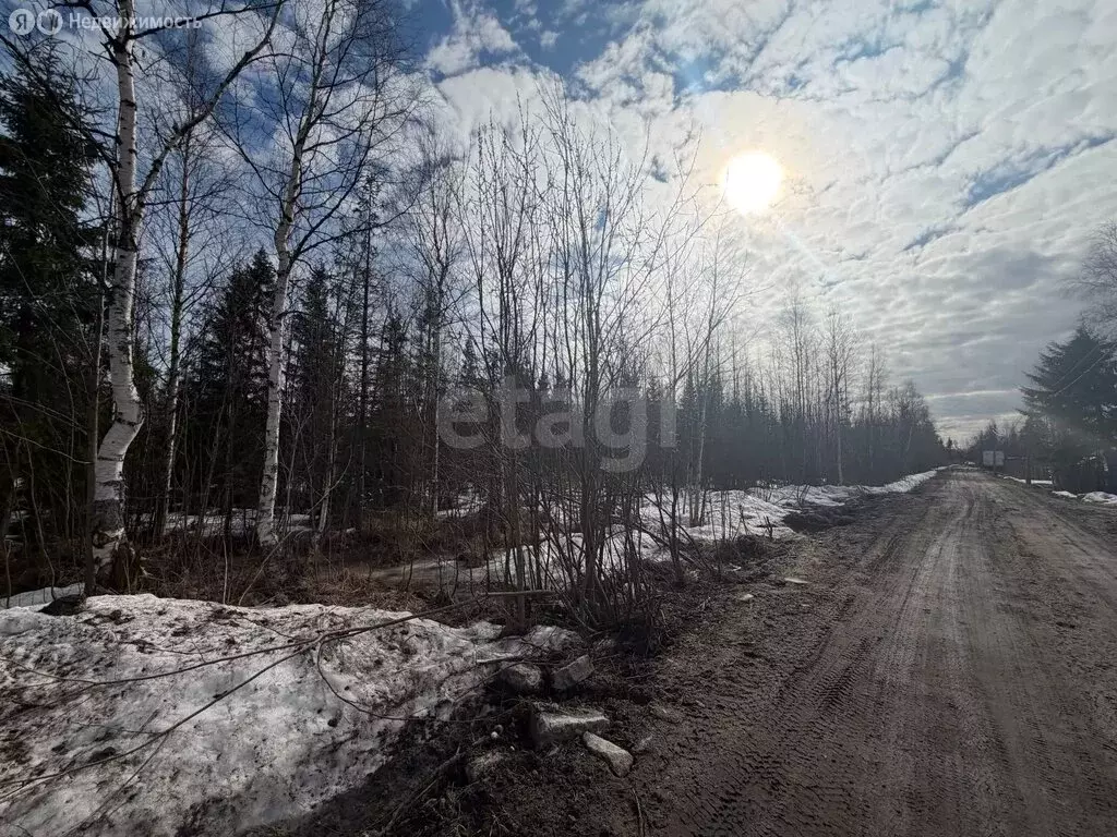 Участок в Архангельская область, Приморский муниципальный округ, СНТ ... - Фото 1