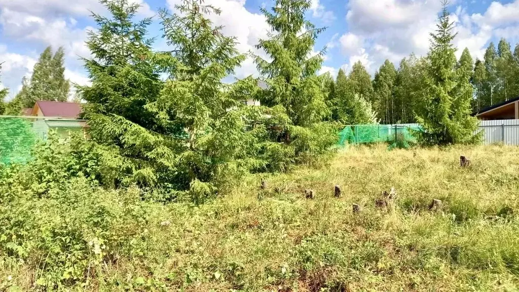 Участок в Ленинградская область, Всеволожск ул. Рубцова, 8 (6.25 сот.) - Фото 0