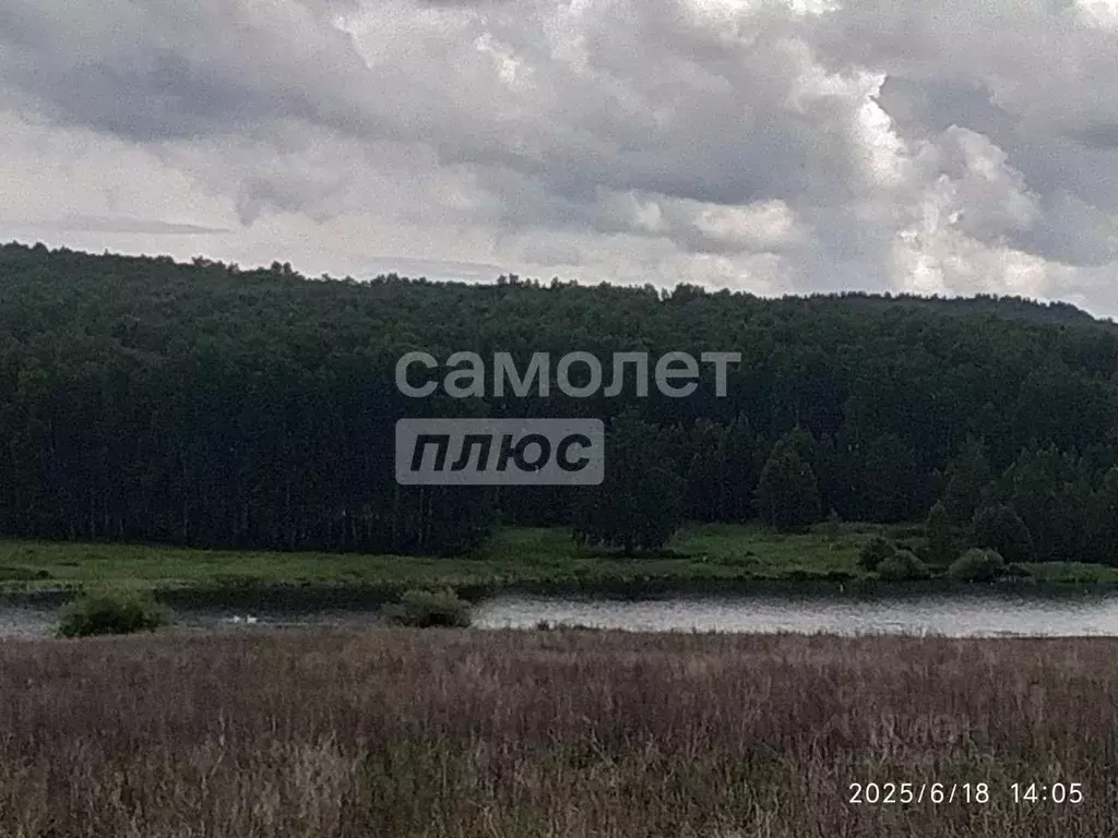 Участок в Челябинская область, Уйский муниципальный округ, д. ... - Фото 0