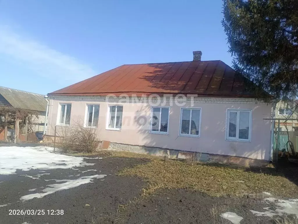 Дом в Курская область, Золотухино муниципальное образование, ... - Фото 1