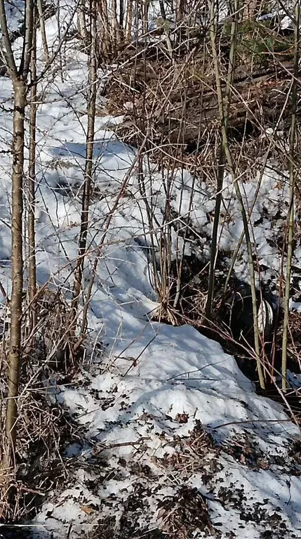 Участок в Ленинградская область, Кировский район, Синявинское ... - Фото 2