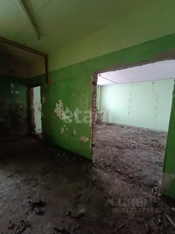 Помещение свободного назначения в Амурская область, с. Тамбовка ул. ... - Фото 0