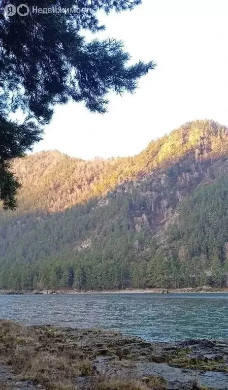 Участок в село Чемал, Эдиганская улица, 19 (12 м) - Фото 2