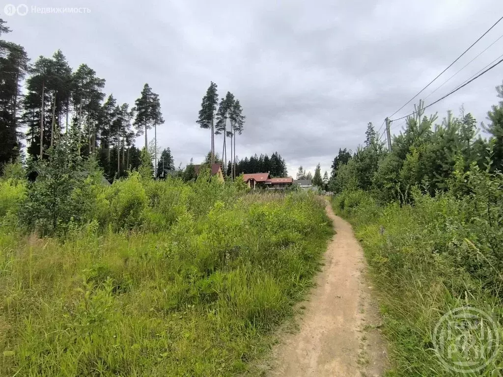 Участок в городской посёлок Рощино, Малая Вокзальная улица (12 м) - Фото 2