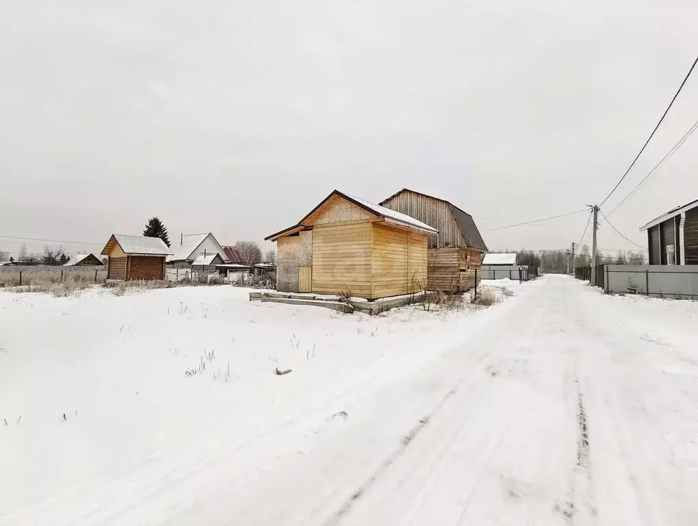 Участок в Тюменская область, Тюмень Царево садовое товарищество, ул. ... - Фото 1