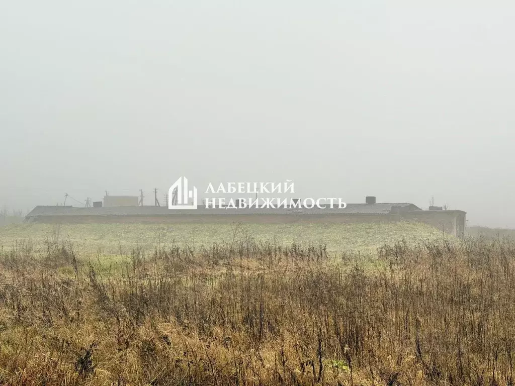 Помещение свободного назначения в Ленинградская область, Волосовский ... - Фото 1