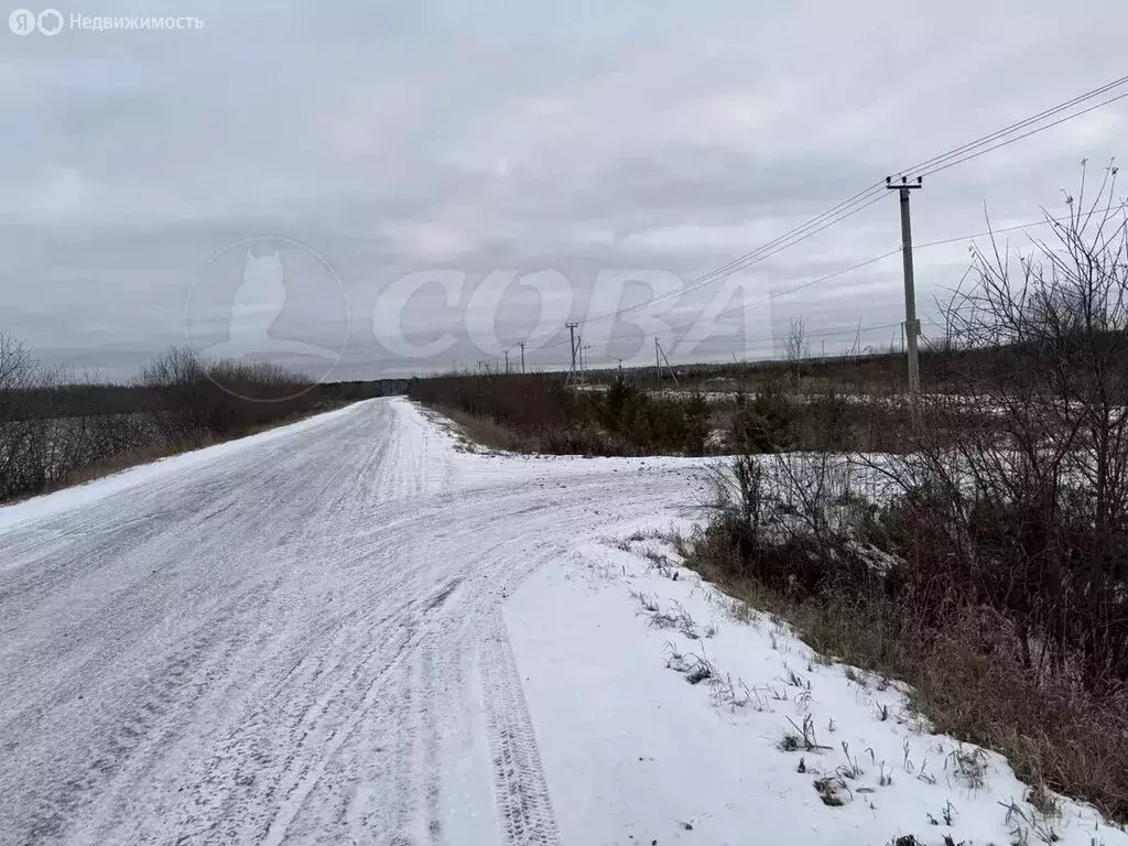 Участок в Тюменский муниципальный округ, село Кулига (14 м) - Фото 2