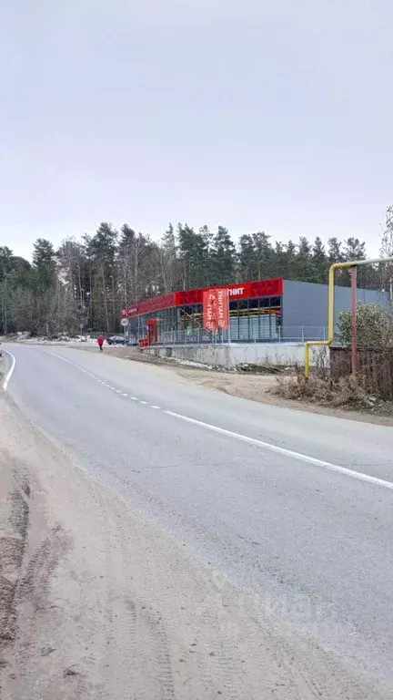 Участок в Новосибирская область, Новосибирский район, с. Кубовая ... - Фото 2