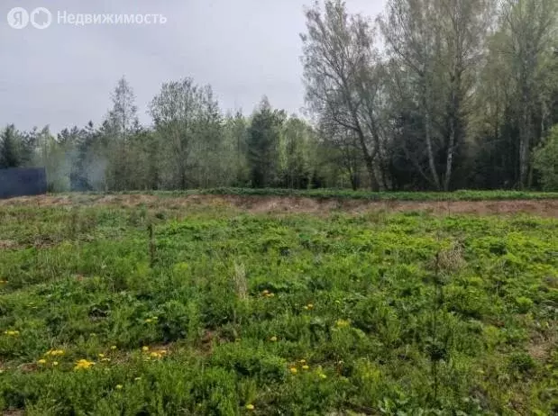 Участок в Ленинградская область, Гатчинский муниципальный округ, дачи ... - Фото 1