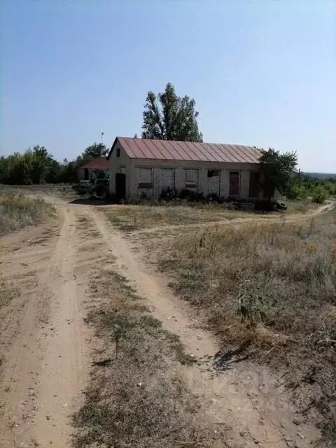 Помещение свободного назначения в Волгоградская область, Михайловский ... - Фото 0