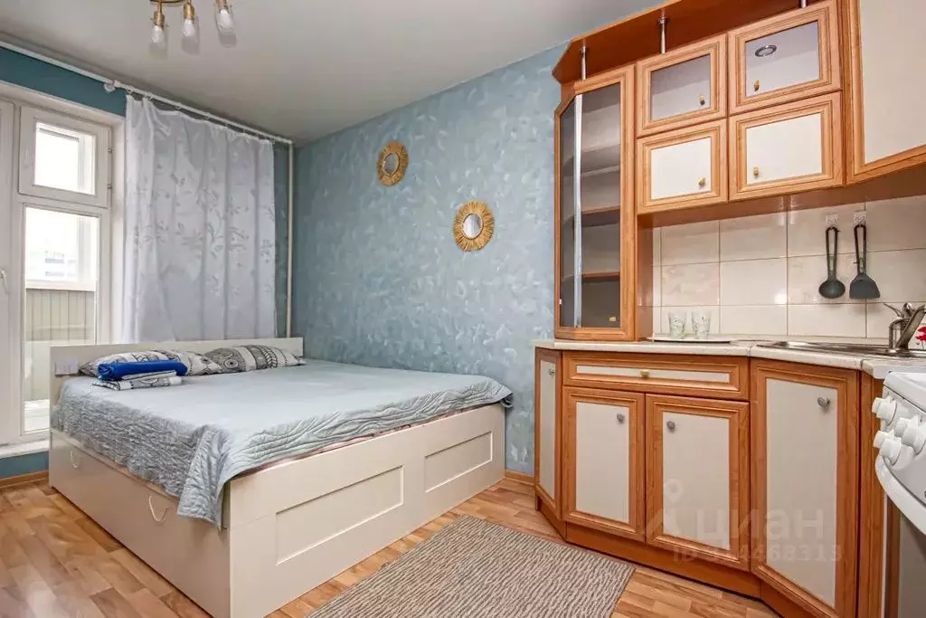 Студия Новосибирская область, Новосибирск ул. Виктора Уса, 9 (27.0 м) - Фото 2