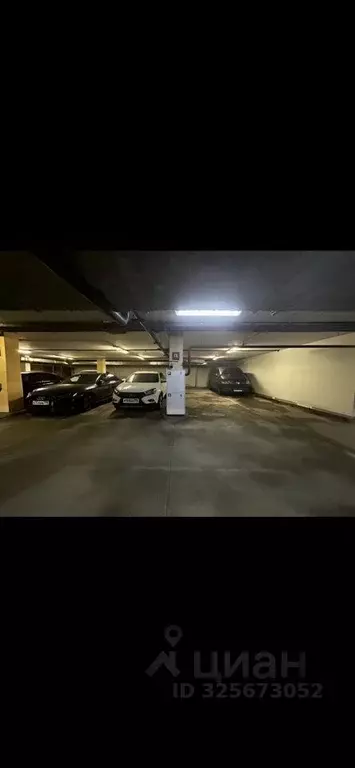 Помещение свободного назначения в Москва Совхозная ул., 49 (120 м) - Фото 2