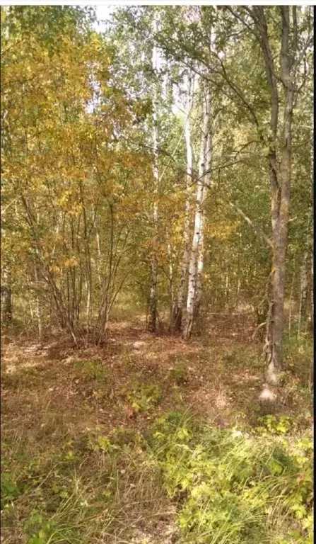 Участок в Рязанская область, Рязань  (6492.0 сот.) - Фото 0