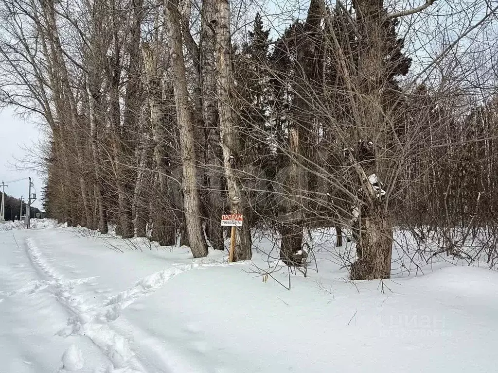 Участок в Курганская область, Кетовский муниципальный округ, Волна СТ  ... - Фото 1