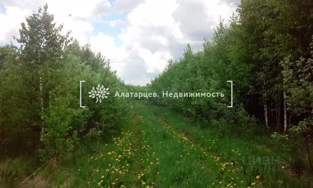 Участок в Томская область, Томский район, д. Аркашево  (2100.0 сот.) - Фото 0